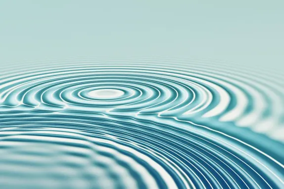 Bit4win Cazino Cazinou Suport